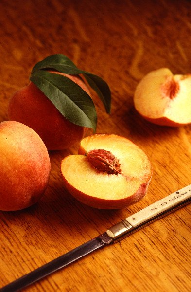 Flavor Crest peaches