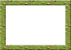 Frame border sheep - Photopublicdomain.com