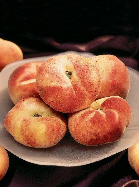 Galaxy peach