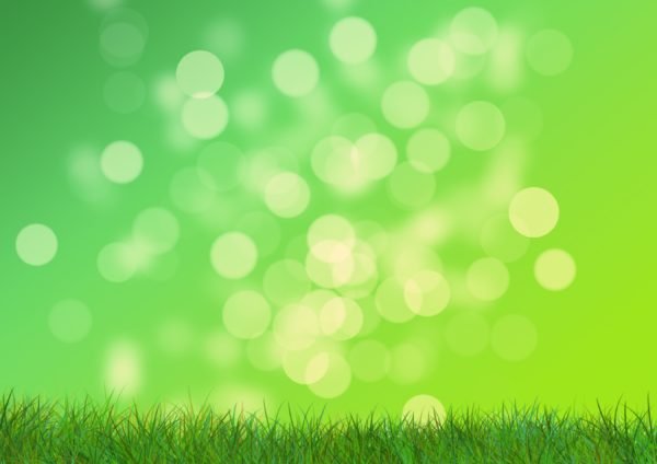 Grass abstract green background