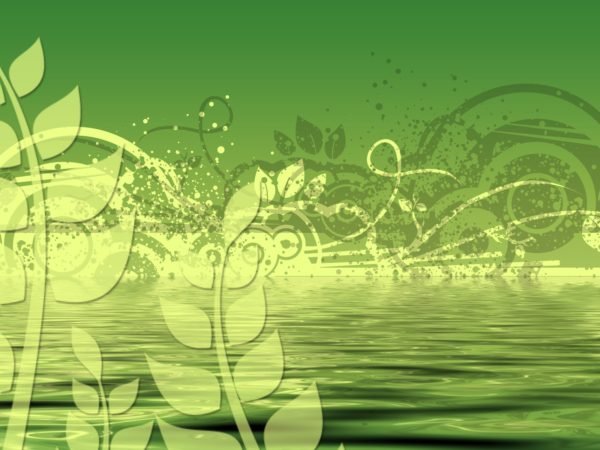 Green floral abstract background