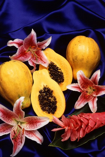 Hawaiian papayas carica papaya