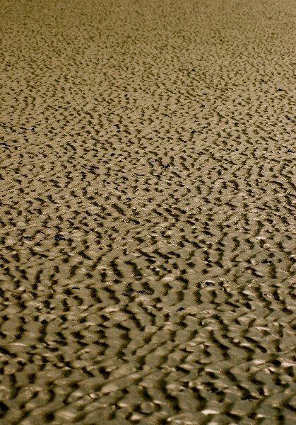 Texture of a sand beach