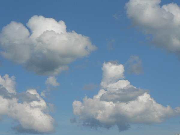 White clouds